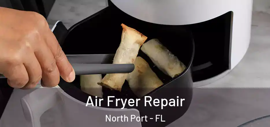 Air Fryer Repair North Port - FL