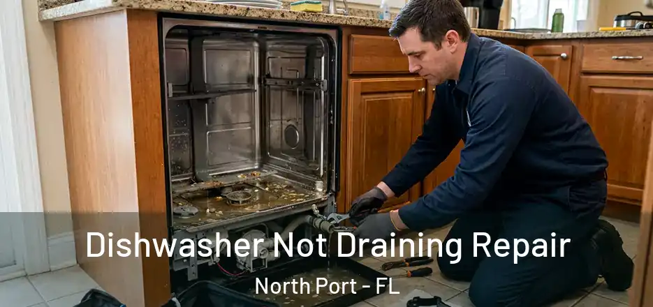 Dishwasher Not Draining Repair North Port - FL