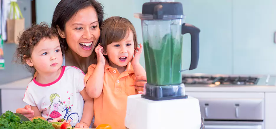 Juicer and Mixer Blender Repair in North Port